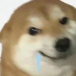 肥的滋滋冒油